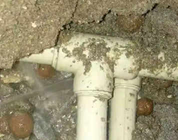 安陆测漏水多少钱