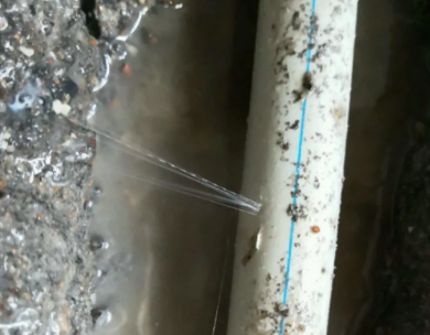 安陆测漏水哪家好