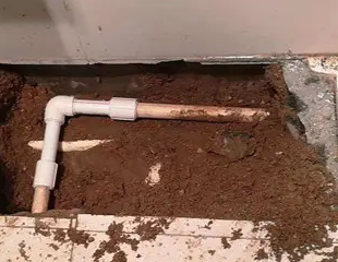 安陆测漏水哪家好